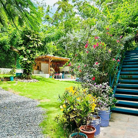Palmare House Hotel ซานอันเดรส ภายนอก รูปภาพ