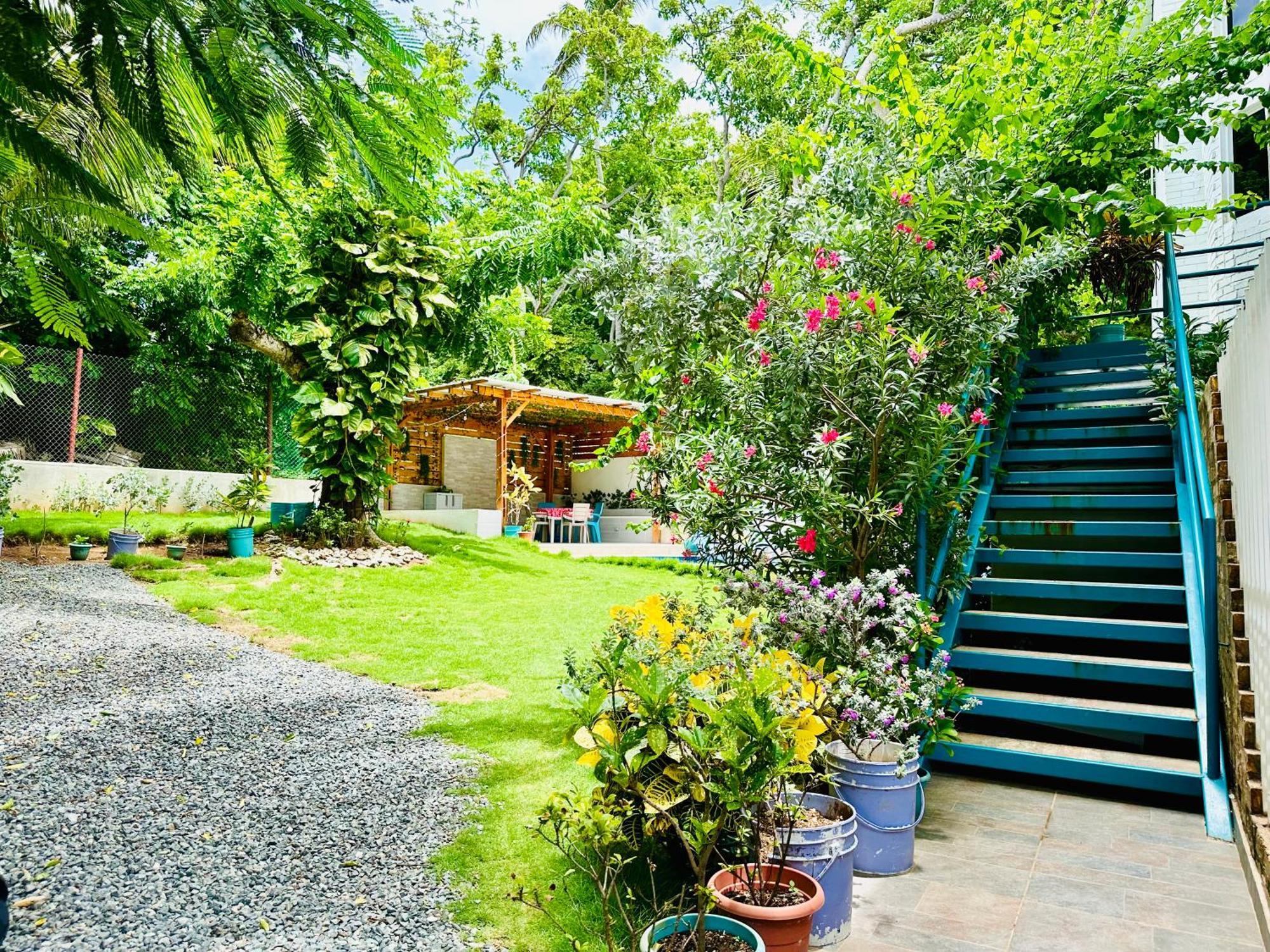 Palmare House Hotel ซานอันเดรส ภายนอก รูปภาพ